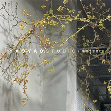 ɽ�w������{����˼�����滨��c�b��÷���ֲ��ٻ������b�