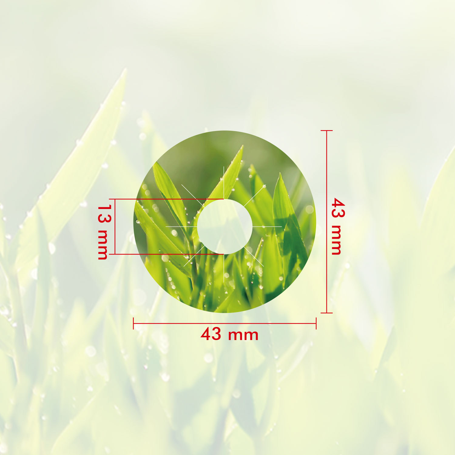 Soilless Cultivo de siembra sustrato traje bloque plantación cesta balcón interior hidropónico accesorios combinación traje al por mayor