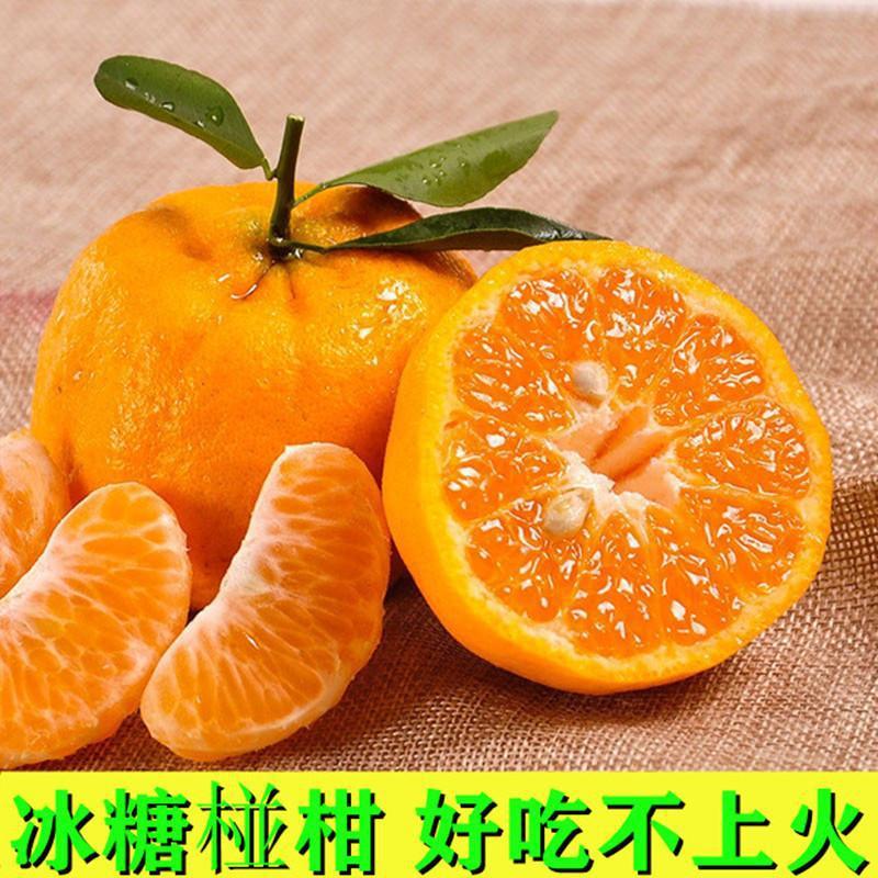 【好吃不上火】现摘新鲜有籽椪柑清江碰柑芦柑宜昌柑橘应季水果
