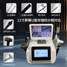 �^Ƥ�o�w�z�y�xë�Ҷ๦�ܜyԇ�x����Ժֲ�l��Ó����һ�w�C