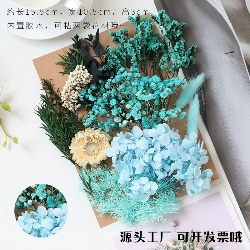 Набор для творчества A5: сухоцветы, прессованные цветы, материалы для фоторамок, материалы для флористики, материалы для ароматерапии, свечей, сухоцветы