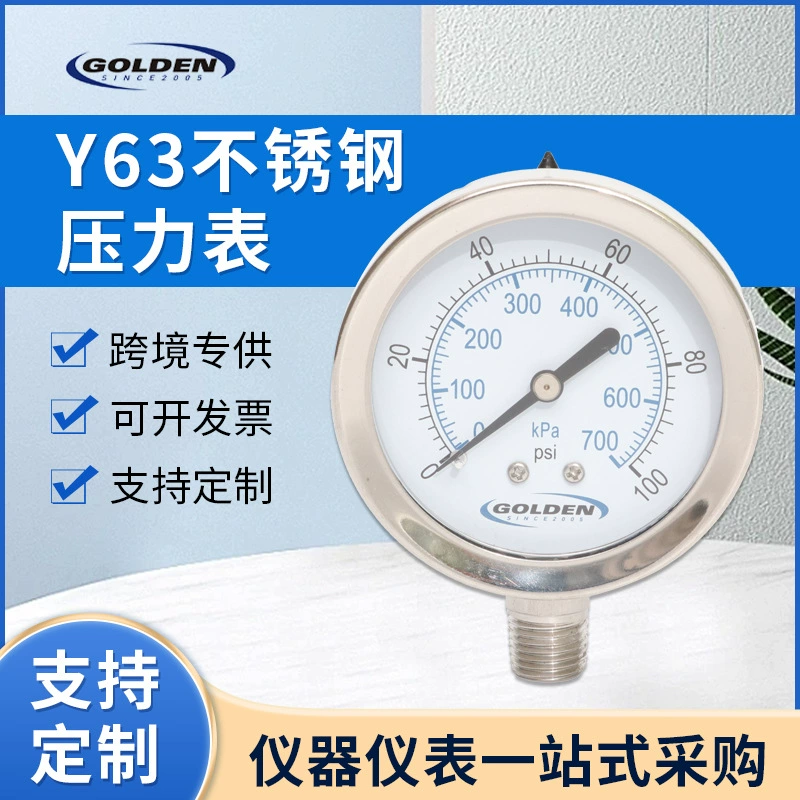 Y63 Манометр из нержавеющей стали 63MM Манометр из нержавеющей стали LF-250SS-4L