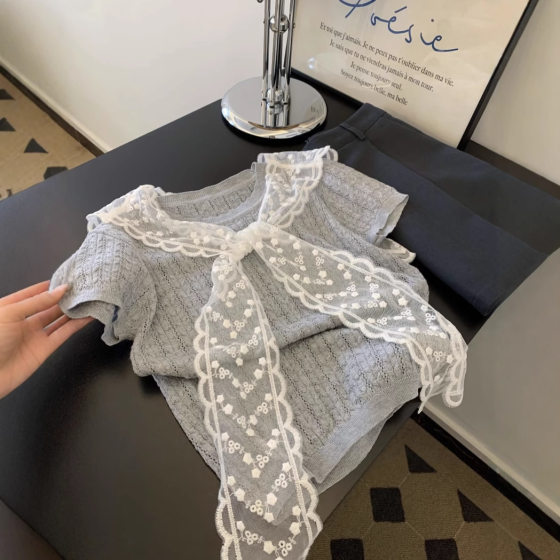 Korean Style Retro Lace Shawl Stacked Grey Knitted Short-sleeved Women's Summer 2025 New Age-reducing Design Sense Top