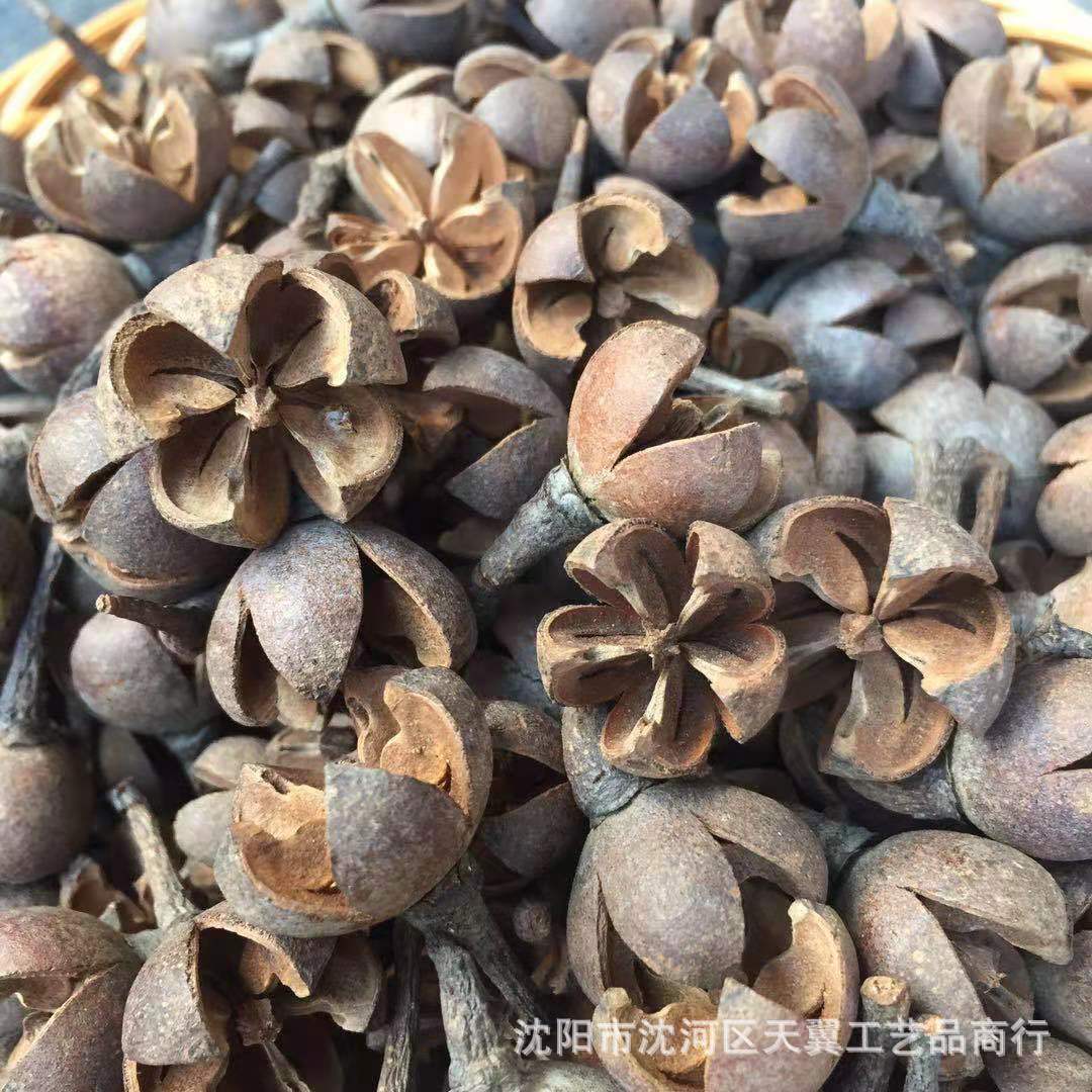 f4152d0648f09872820ddcfea1afc8