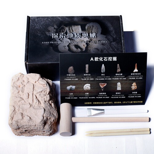Paleontological fossils, archaeological excavation, raw stones ores, crystal stones, geological popular science, children's teaching specimen gifts