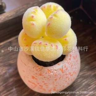 �������që���zˮ��ֲ�q�z�ֹ�ֲ�q�zճ��ܛ��΢�sģ�ͽqë���z