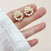 Mountain tea pearl, mosquito coil, ear clips