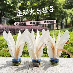 はね運動専用のはね玉ははねのボタンを蹴ります。