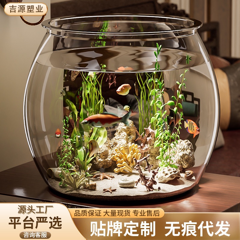 Pequeno tanque de peixes cuidadosamente selecionado, sala de estar, pequena tartaruga ecológica, tanque de peixes dourados, desktop transparente, recipiente hidropônico doméstico, vaso de flores