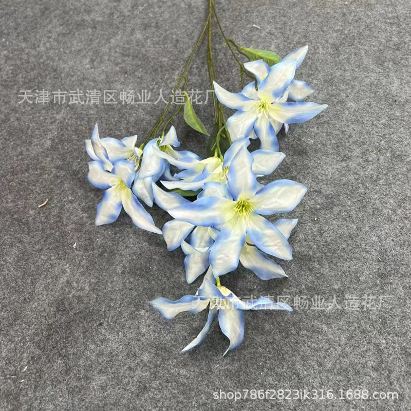 12 헤드 갈랜드 릴리 블루