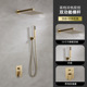 Concealed shower head [dual function] brushed gold