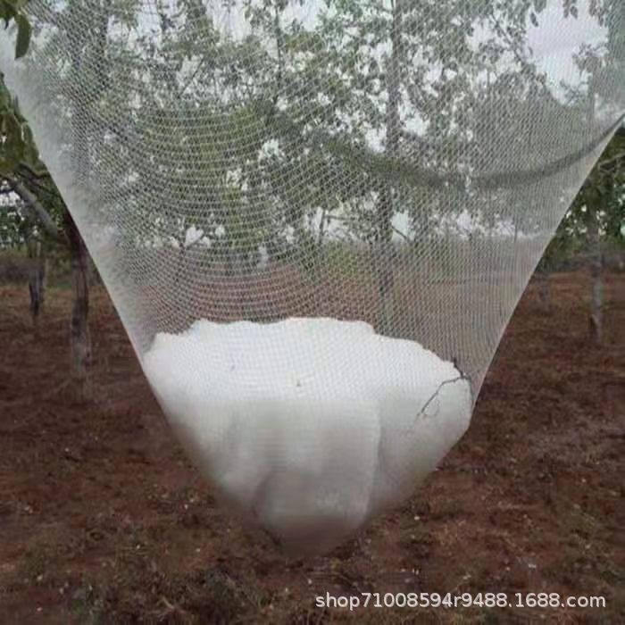 冰雹网4 - 副本.jpg