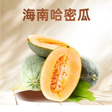 ���Ϲ��ܹ����rˮ���ｮ�����۹Ϯ����ϝh�ϾW�y�����