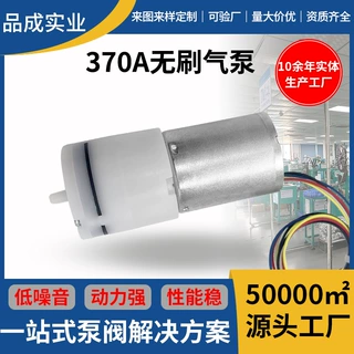 定制370A无刷气泵长寿命隔膜充气泵按摩仪美容仪香薰机小型气泵