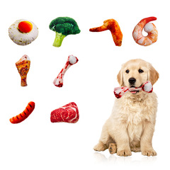 Amazon Dog Toys Plush Filled Simulated Chicken Ingredient Sound Pet Toy Amazon