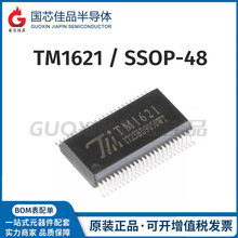 TM1621封装SSOP-48数码管驱动多功能LED驱动集成电路芯片原装全新