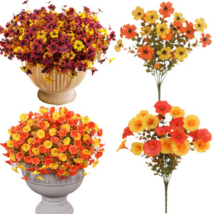 �羳���N��ϵ���滨�ȼ������_�m��ţ������ͥԺ�@���bٻ����l