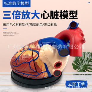 3���Ŵ� ���w���Kģ��B���ʳ� �t�W���ăȿ����K���ʽ̌Wģ��