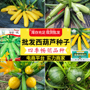 ���l�㽶�����J�N��ˮ�����������ͺ������r��ˈ@�Sɫ���J�ϷN��