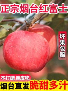 ɽ�|��̨��ϼ�t��ʿ�O�����rˮ���óԴ�������a��ֱ�l4.5��/9��