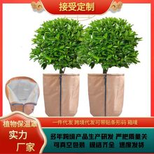 跨境货源透气吸水园林植物保温罩果树防寒防冻耐用环保花盆防护罩
