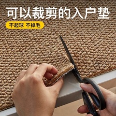 仿剑麻菠萝圈地毯加厚玄关地垫入户地垫门口地毯耐脏防滑定作满铺