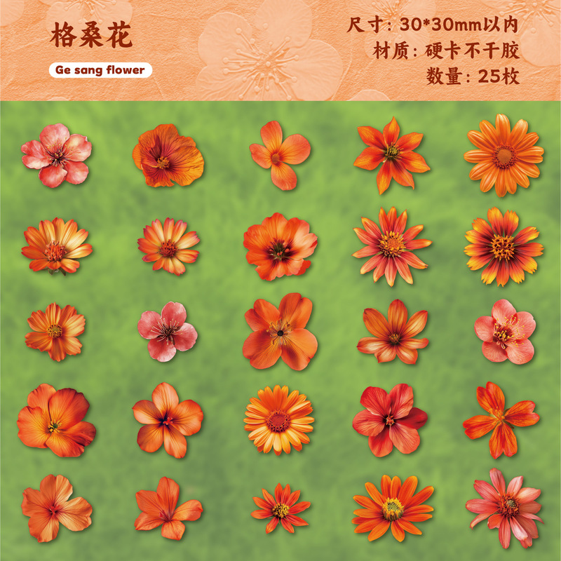 Retro Story贴纸包朵朵系列手绘花卉主题手账DIY装饰贴25枚入6款|undefined