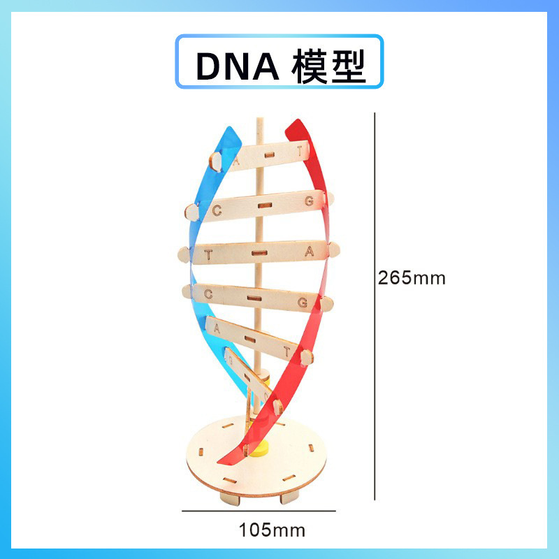 科学実験創客手揺発電diy手作り材料包科技小制作幼稚園祝日プレゼント|undefined