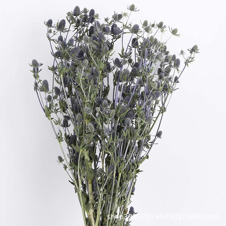 기본 색상 [약 100]