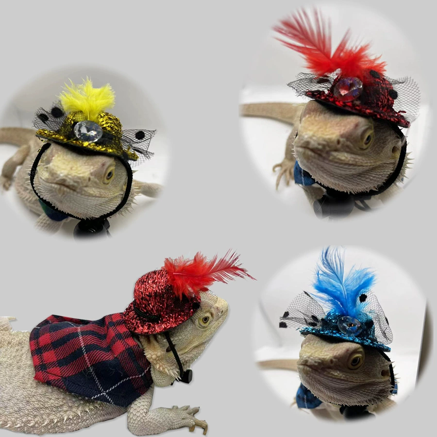 Шляпа ящерицы Плащ Одежда на Хэллоуин Рождественский костюм Альпинистский питомец из платья