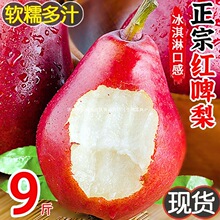 �tơ��9�����rˮ������������]�tƤ��t����ܛŴ���ӕr����]10