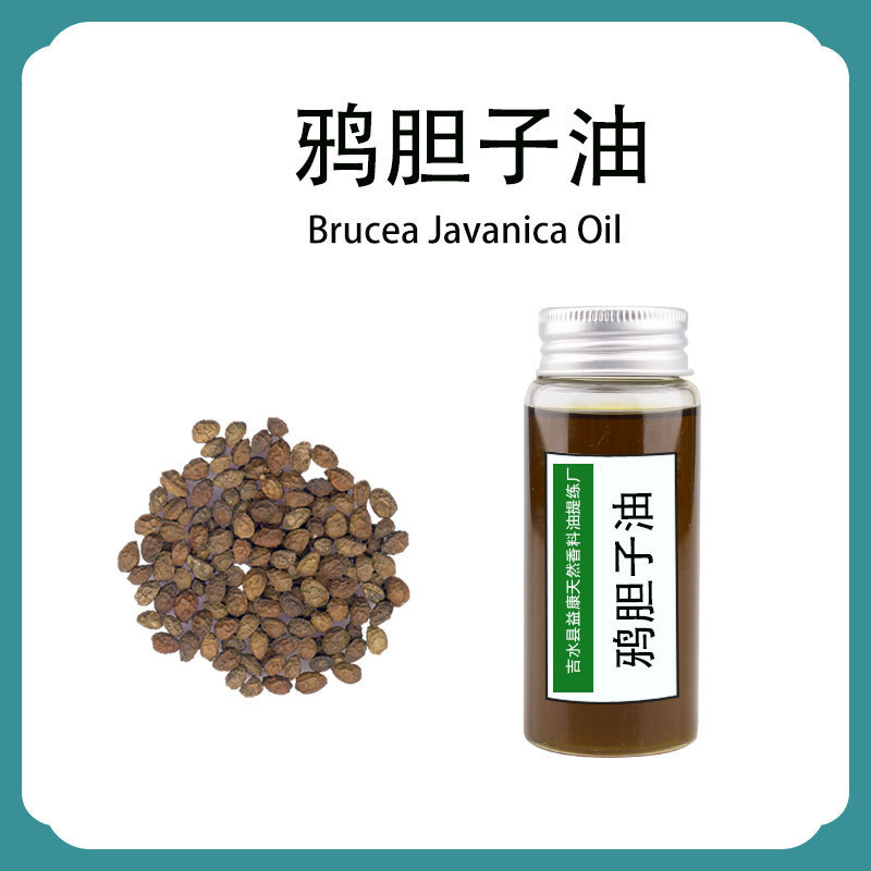 冷榨 鸦胆子油 天然植物油基础油 鸦胆籽油 厂家批量供应