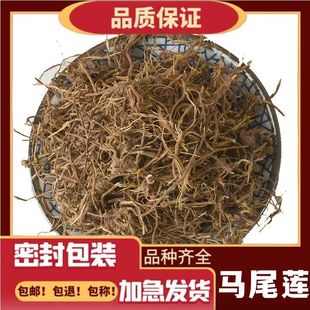 �Rβ�B ��ș�� �Rβ�S�B �Rβɏ�� �S�B��z�Rβɏ ���ɲ� ��ĥ��