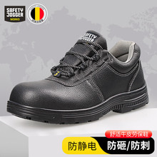 SAFETY JOGGERk˄ڱЬŮ^䓵׷ҷ̴o늴