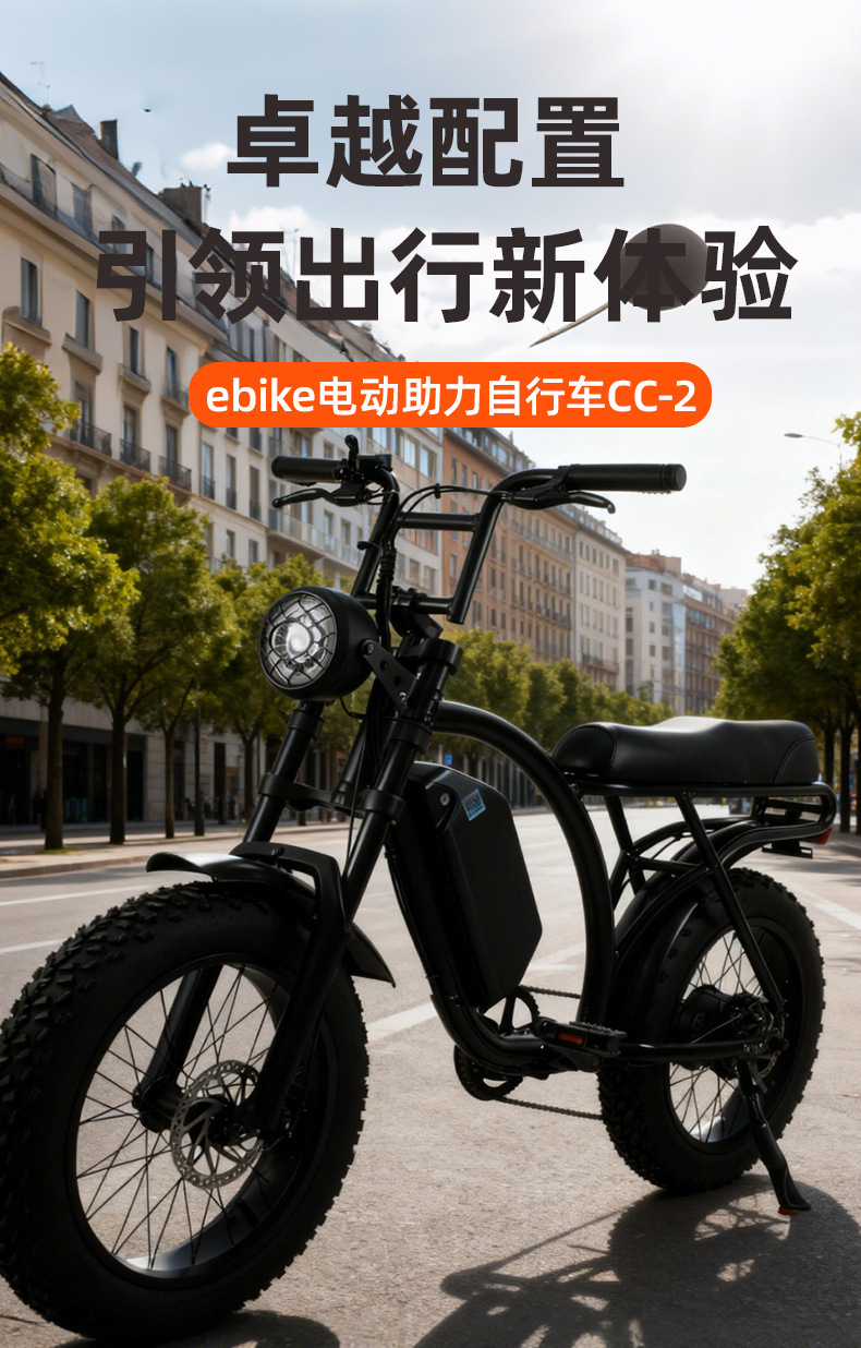 Cross-Border Ebike Electric Assist Bike Fat Tire Snow Bike Beach Off-Road Electric Bicycle Long Range Electric Motorcycle
