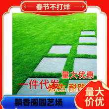 ��ƺ���ѷN���ļ�����G����̺�ݺ����ݸ���é�o�²�Ƥ�N�ӲݷN��