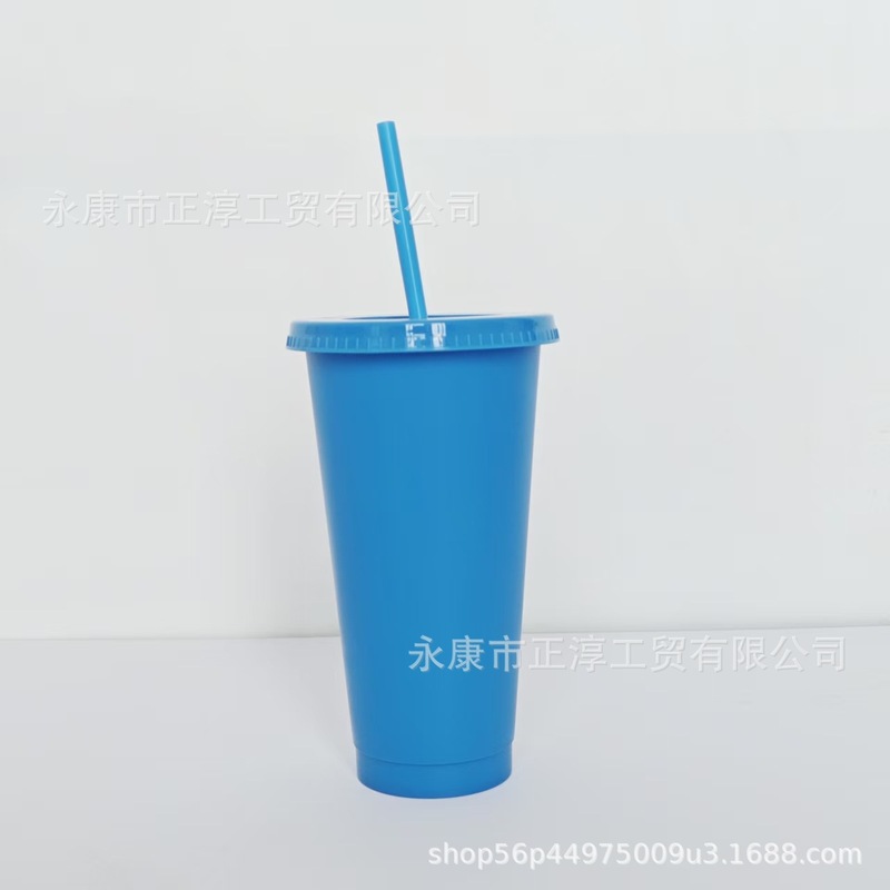 外贸新款马卡龙系列大容量710ML塑料奶茶杯PP材质磨砂手感吸管杯|undefined