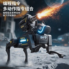 �к��������2025�¿��b�ؙC�������հl���ΙC���˹���ͯ����