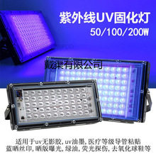 �̻������⾀�������{����Ьȥ�����NĤ�z�G��