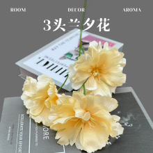 ����3�^�mϦ���m���ٻ���Y�ò������컨��ˇ�廨�ҾӔzӰ�b�