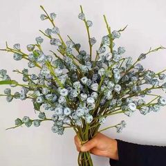 云南尤加利果鲜花水培干花小米果家居装饰插花新鲜永生花厂家批发