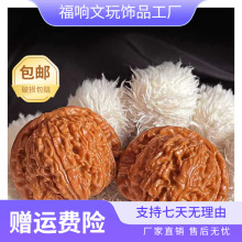 ����������Ұת{�Ӑ���{���^�P����{������Ϙ������l