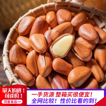 �Aɽ����50��������l ���_�����Ѵ��b�Թ���ʳԭζ�����Aɽ����