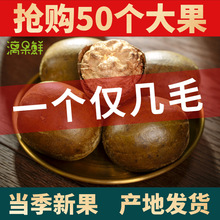 罗汉果干果旗舰店中药材香料非野生广西桂林永福产罗汉果茶