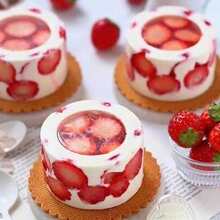 â�����̰�͹������ģĽ˹��֦��ҵ���轺DIY����ģ���ֹ���ģ