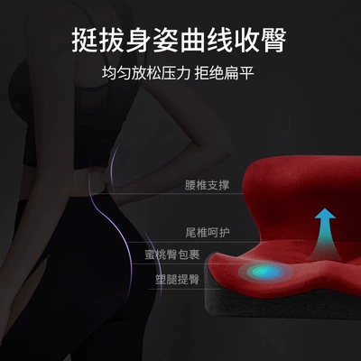 Seat cushion, seat cover, Back Cushion Integrated Office Lumbar Support