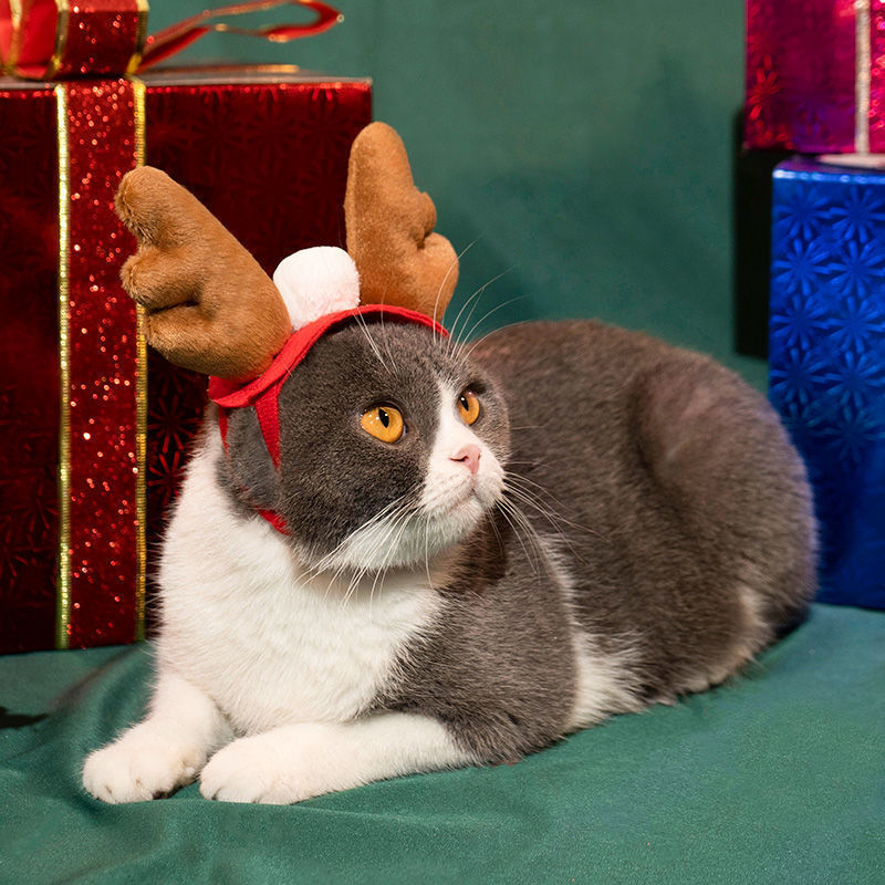 猫犬クリスマスかわいい服幼猫小型犬テディ比熊英短ぬいぐるみクリスマスマント|undefined