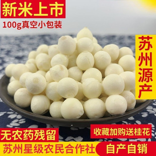 �͌��u�^�����r2025�K���K�ʹČ�����ܛŴ���w����ʳ�Ǹ�؛