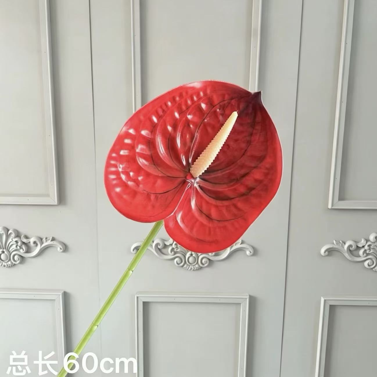 붉은 국화