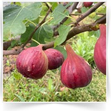 ��o������䎧������Y��������Ϸ�����ͥԺ�Nֲ�o���������